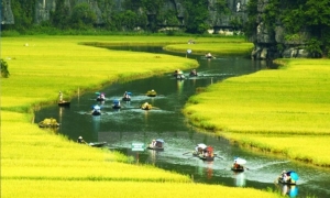 Hanoi - Halong bay - Sapa-City tour (7ds 6ns Package)