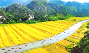 Hanoi - Halong bay - Sapa-City tour (7ds 6ns Package)