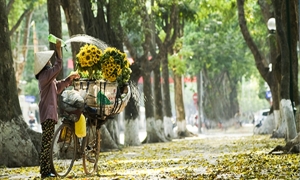 HA NOI CITY ONE DAY TRIP