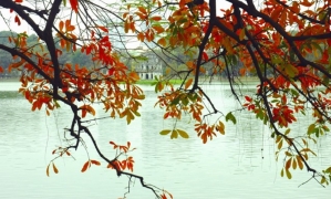 HA NOI CITY ONE DAY TRIP