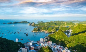 Hanoi - Cat Ba Tour 2 days 1 night - Sleep in Hotel